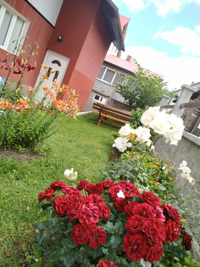 Apartments Bozovic Zabljak  Ngoại thất bức ảnh