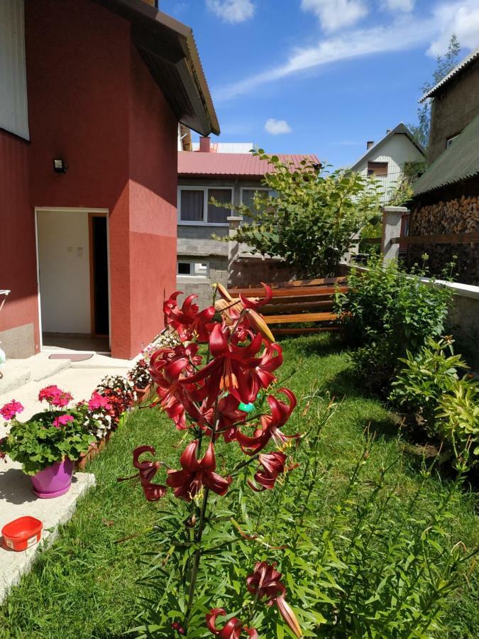Apartments Bozovic Zabljak  Ngoại thất bức ảnh